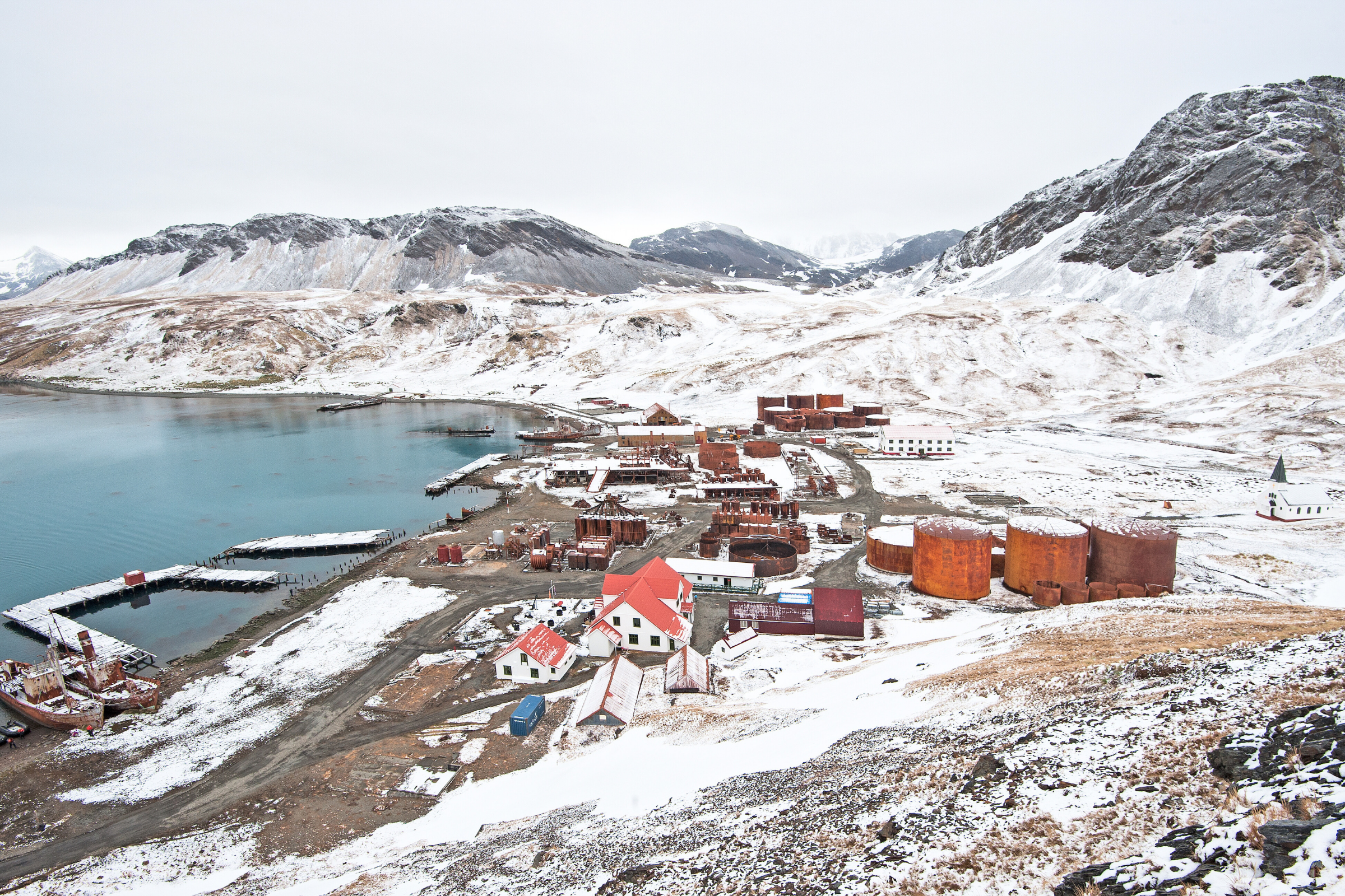 192 grytviken.webp